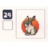 TATOUAGE  24 LAPIN 4 - Collection 2024 - Nos amies les bêtes