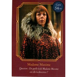 CARTE 54 MADAME MAXIME, Harry Potter - Auchan 2021