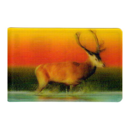 CARTE  03 CERF ÉLAPHE - Collection 2014 - Animaux 3D