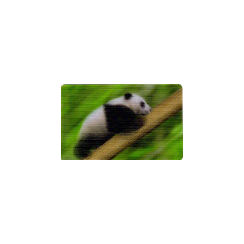 CARTE  06 PANDA - Collection 2014 - Animaux 3D