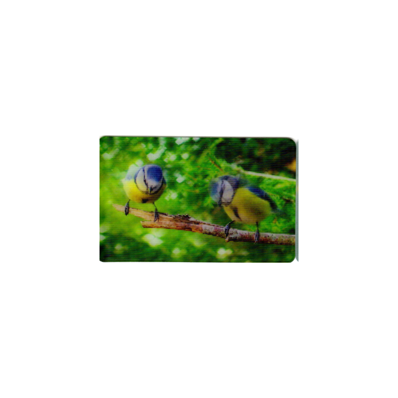 CARTE  08 MÉSANGE BLEUE - Collection 2014 - Animaux 3D