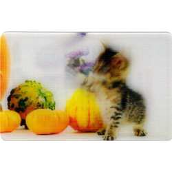 CARTE  13 CHATON -...