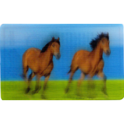 CARTE  18 CHEVAL -...