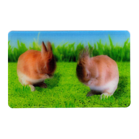 CARTE  19 LAPIN - Collection 2014 - Animaux 3D