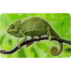 CARTE  27 CAMÉLÉON -...