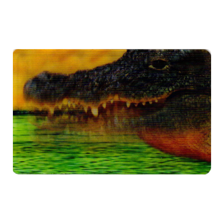 CARTE  29 CROCODILE - Collection 2014 - Animaux 3D