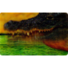 CARTE  29 CROCODILE - Collection 2014 - Animaux 3D