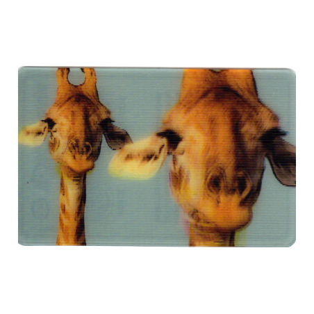 CARTE  32 GIRAFE - Collection 2014 - Animaux 3D