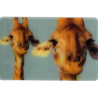 CARTE  32 GIRAFE - Collection 2014 - Animaux 3D