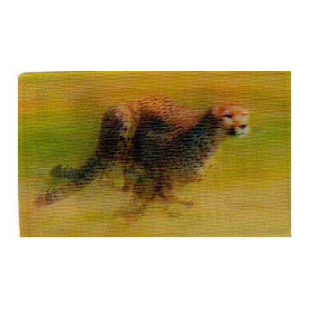 CARTE  33 GUÉPARD - Collection 2014 - Animaux 3D