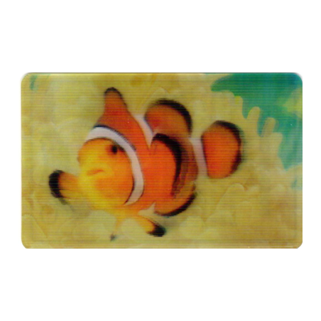 CARTE  40 POISSON CLOWN - Collection 2014 - Animaux 3D