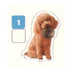 VIGNETTE  1 CANICHE -...