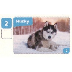 VIGNETTE  2 HUSKY -...