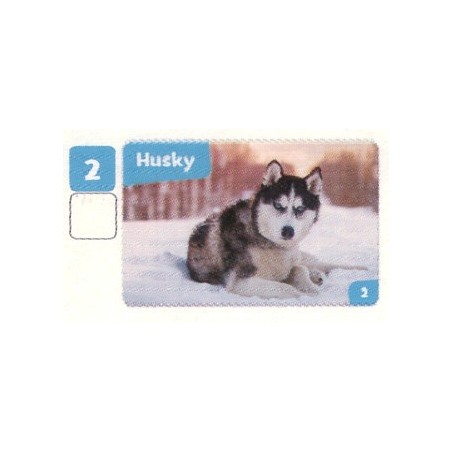 VIGNETTE  2 HUSKY - Collection 2024 - Nos amies les bêtes