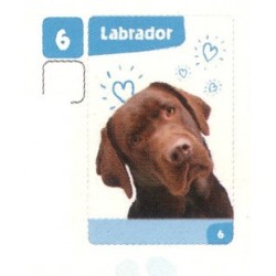 VIGNETTE  6 LABRADOR -...