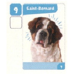 VIGNETTE  9 SAINT-BERNARD -...