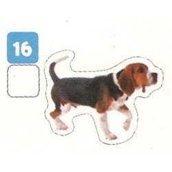 VIGNETTE  16 BEAGLE -...