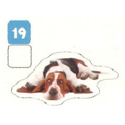 VIGNETTE  19 BASSET HOUND -...