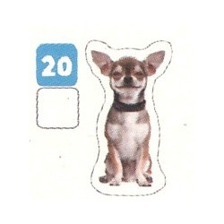 VIGNETTE  20 CHIHUAHUA -...