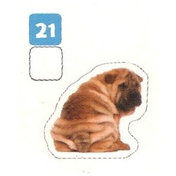 VIGNETTE  21 SHAR-PEI -...