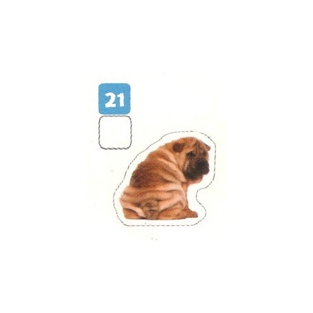 VIGNETTE  21 SHAR-PEI - Collection 2024 - Nos amies les bêtes