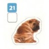 VIGNETTE  21 SHAR-PEI - Collection 2024 - Nos amies les bêtes