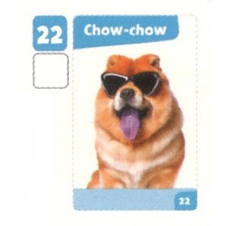 VIGNETTE  22 CHOW-CHOW -...