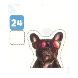 VIGNETTE  24 BOULEDOGUE -...