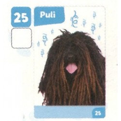 VIGNETTE  25 PULI -...