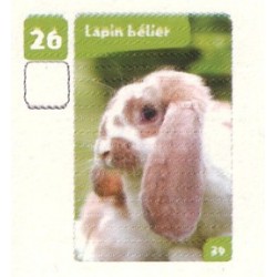 VIGNETTE  26 LAPIN BÉLIER -...