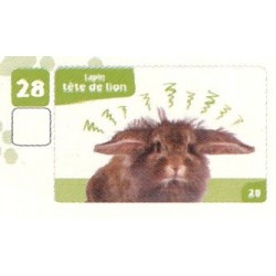 VIGNETTE  28 LAPIN...