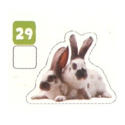 VIGNETTE  29 LAPIN REX -...