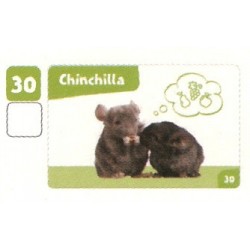 VIGNETTE  30 CHINCHILLA -...