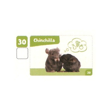 VIGNETTE  30 CHINCHILLA - Collection 2024 - Nos amies les bêtes