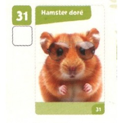 VIGNETTE  31 HAMSTER DORÉ -...