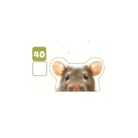 VIGNETTE  40 RAT - Collection 2024 - Nos amies les bêtes