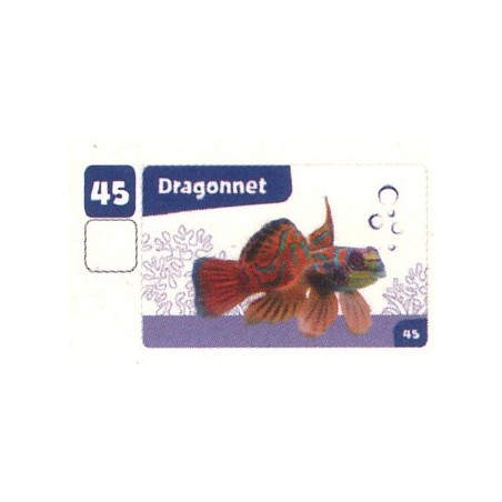 VIGNETTE  45 DRAGONNET - Collection 2024 - Nos amies les bêtes