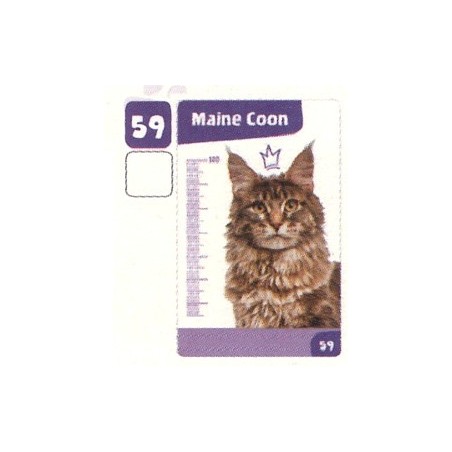 VIGNETTE  59 MAINE COON - Collection 2024 - Nos amies les bêtes