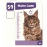 VIGNETTE  59 MAINE COON - Collection 2024 - Nos amies les bêtes