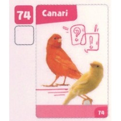 VIGNETTE  74 CANARI -...