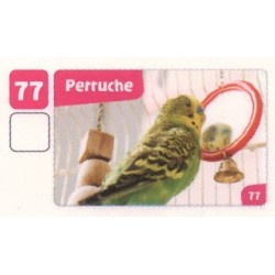 VIGNETTE  77 PERRUCHE -...