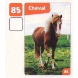 VIGNETTE  85 CHEVAL 1 -...