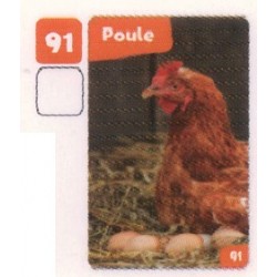 VIGNETTE  91 POULE 1 - Collection 2024 - Nos amies les bêtes