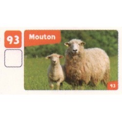 VIGNETTE  93 MOUTON -...