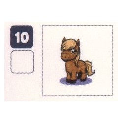 TATOUAGE  10 PONEY 1 - Collection 2024 - Nos amies les bêtes