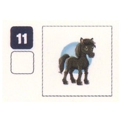 TATOUAGE  11 PONEY 2 - Collection 2024 - Nos amies les bêtes